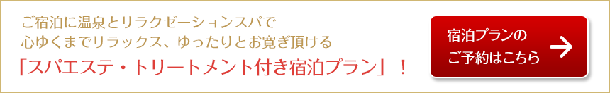 スパエステ・トリートメント付き宿泊プラン